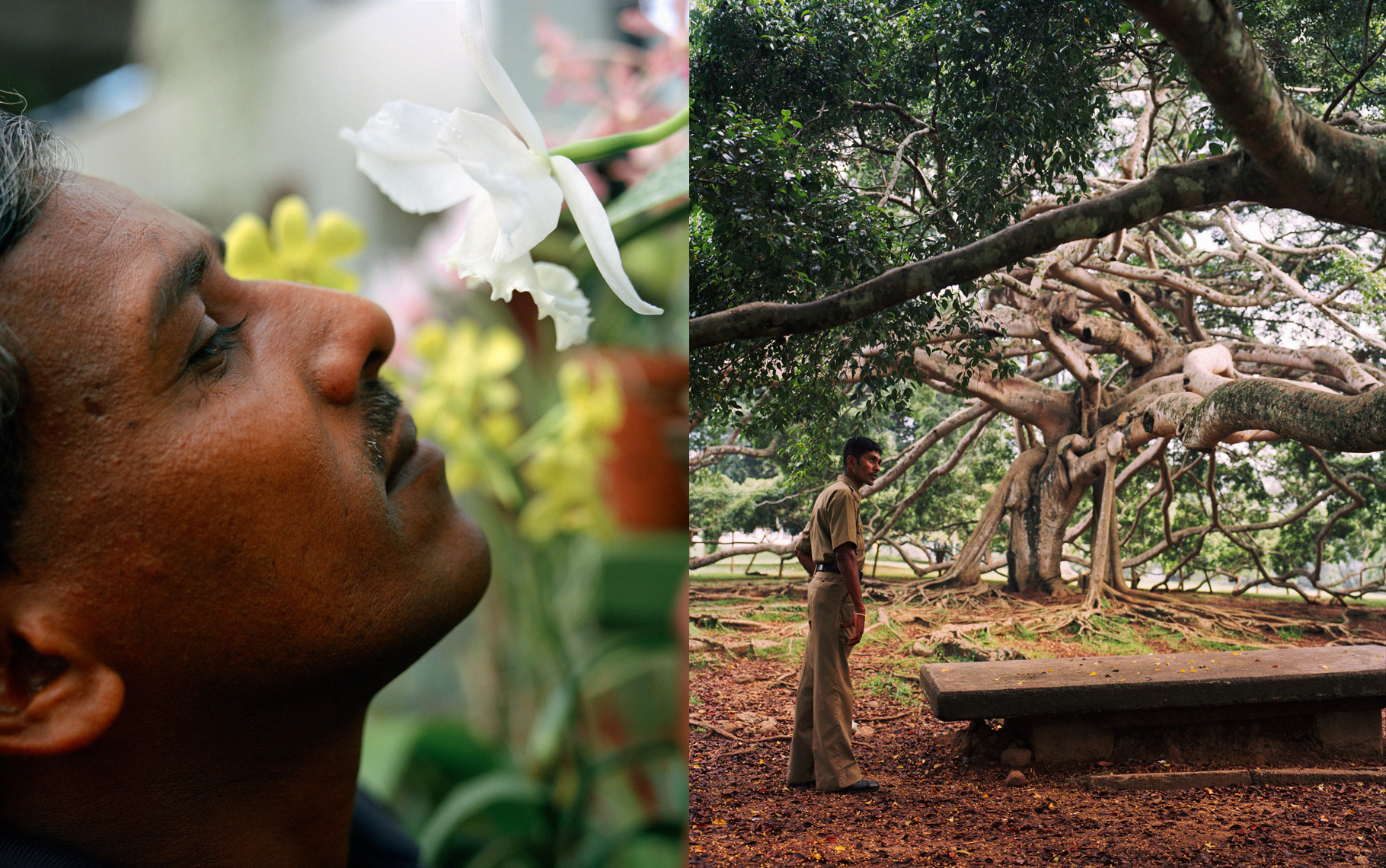 Angeles_SriLanka_20.jpg